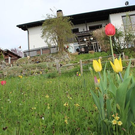 Apartamento Haus Koblizek Waldkirchen Exterior foto